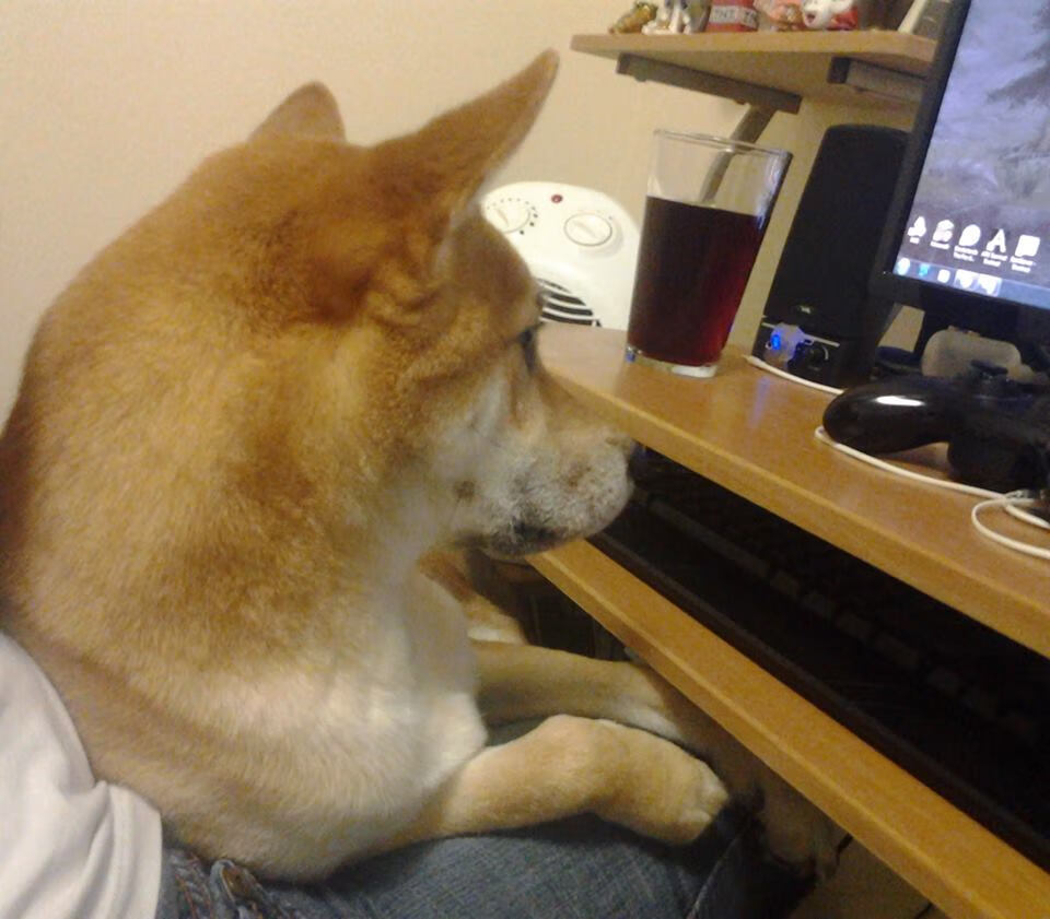 雷霆对阵步行者，贝恩的压制级表演点燃全场