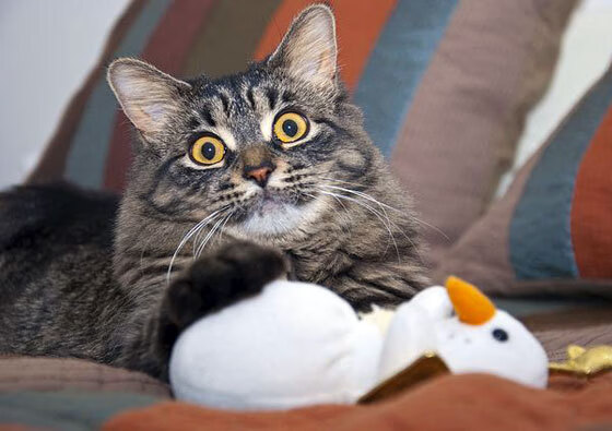 决胜时刻,当魔术不再是戏法,克莱一箭穿心