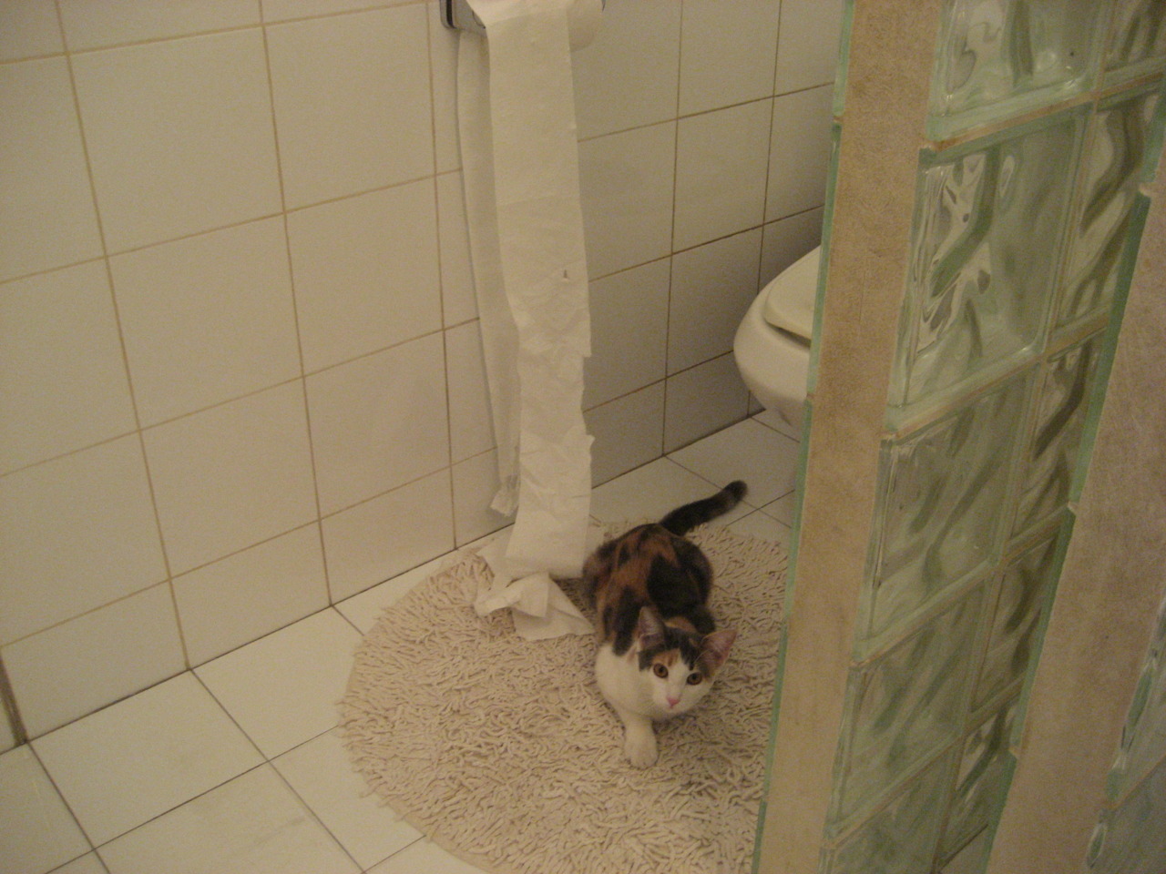 改写历史的羊驼风暴,迪马利亚独闯龙潭,玻利维亚粉碎葡萄牙神话