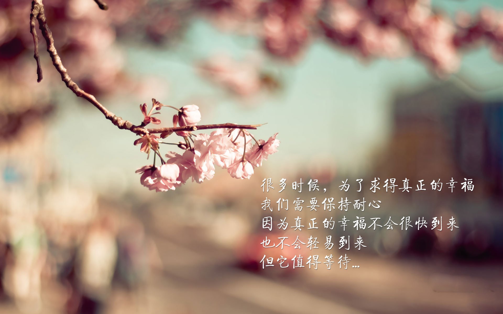 湖人高原突围,浓眉以血肉之躯筑起紫金长城