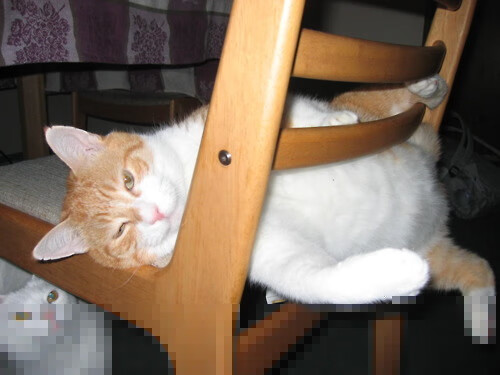 奥运前哨战,太阳硬仗取胜奇才背后的全球战略布局