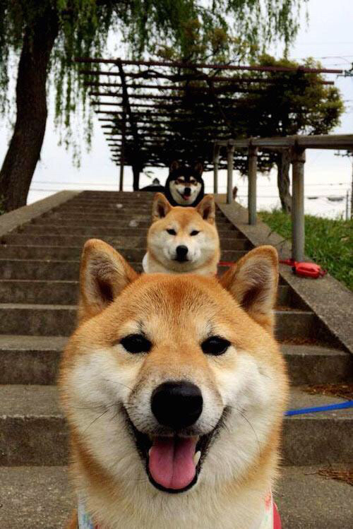 冰川巨人VS精密钟表,挪威强压瑞士背后的足球哲学碰撞