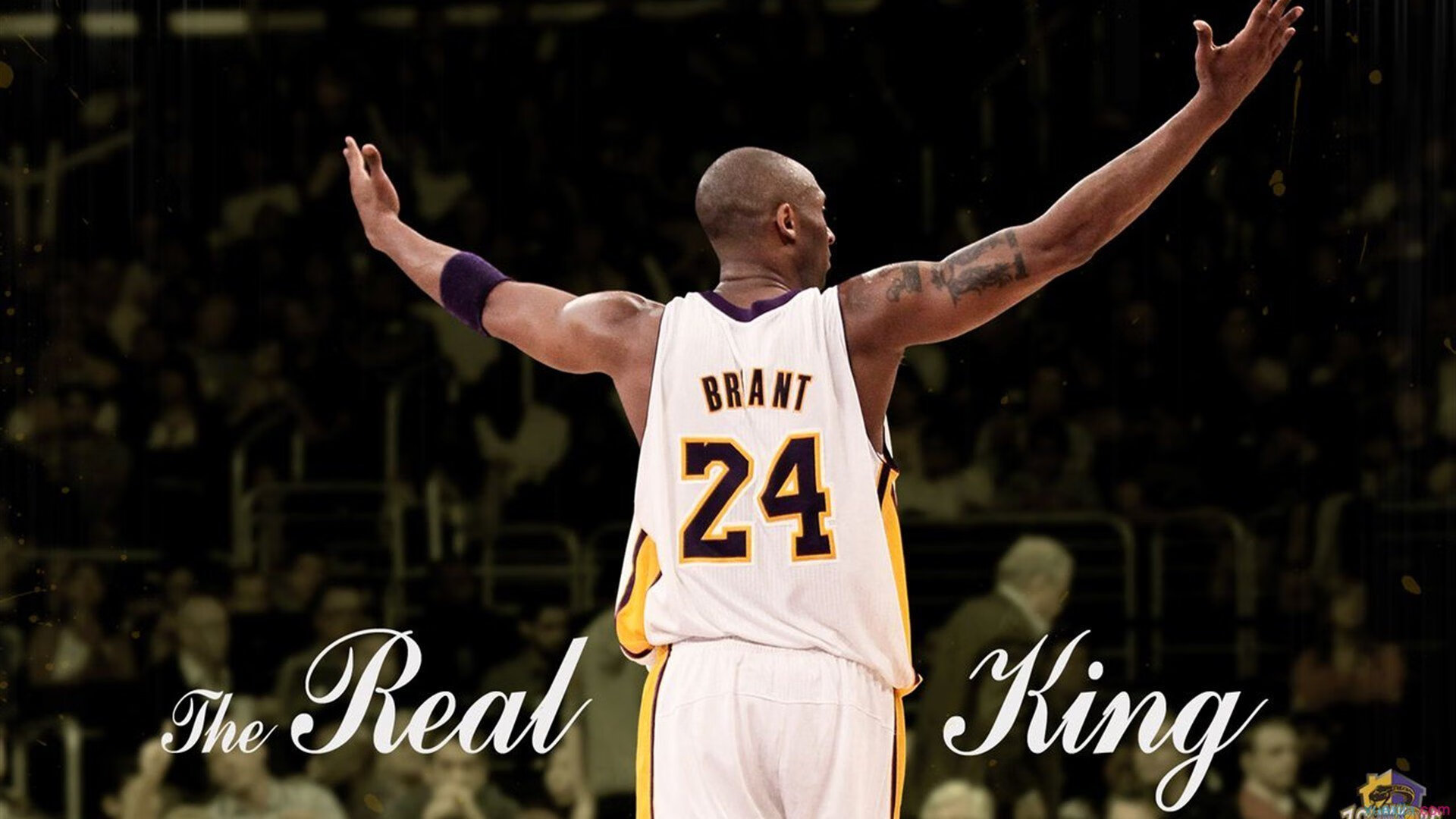 黄蜂尾针蛰伤开拓者,爱德华兹最后一击熄灭玫瑰城