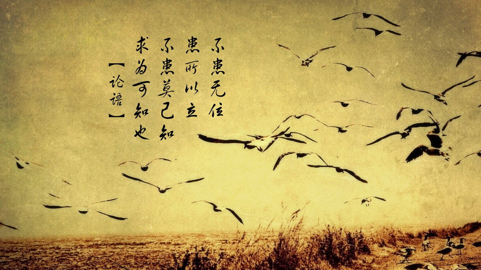 草根的胜利，孙兴慜星光闪耀与亚特兰大的黑暗骑士传奇