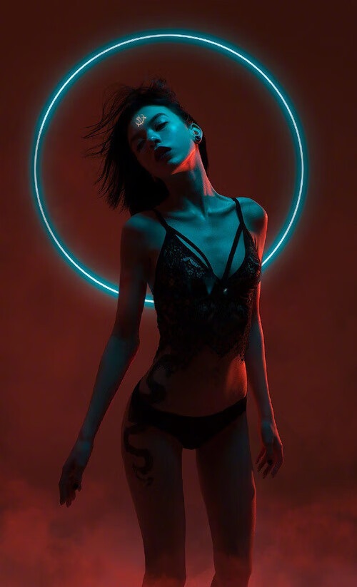 篮球智者之夜，当武切维奇的稳定跨越大西洋点亮德甲争冠战