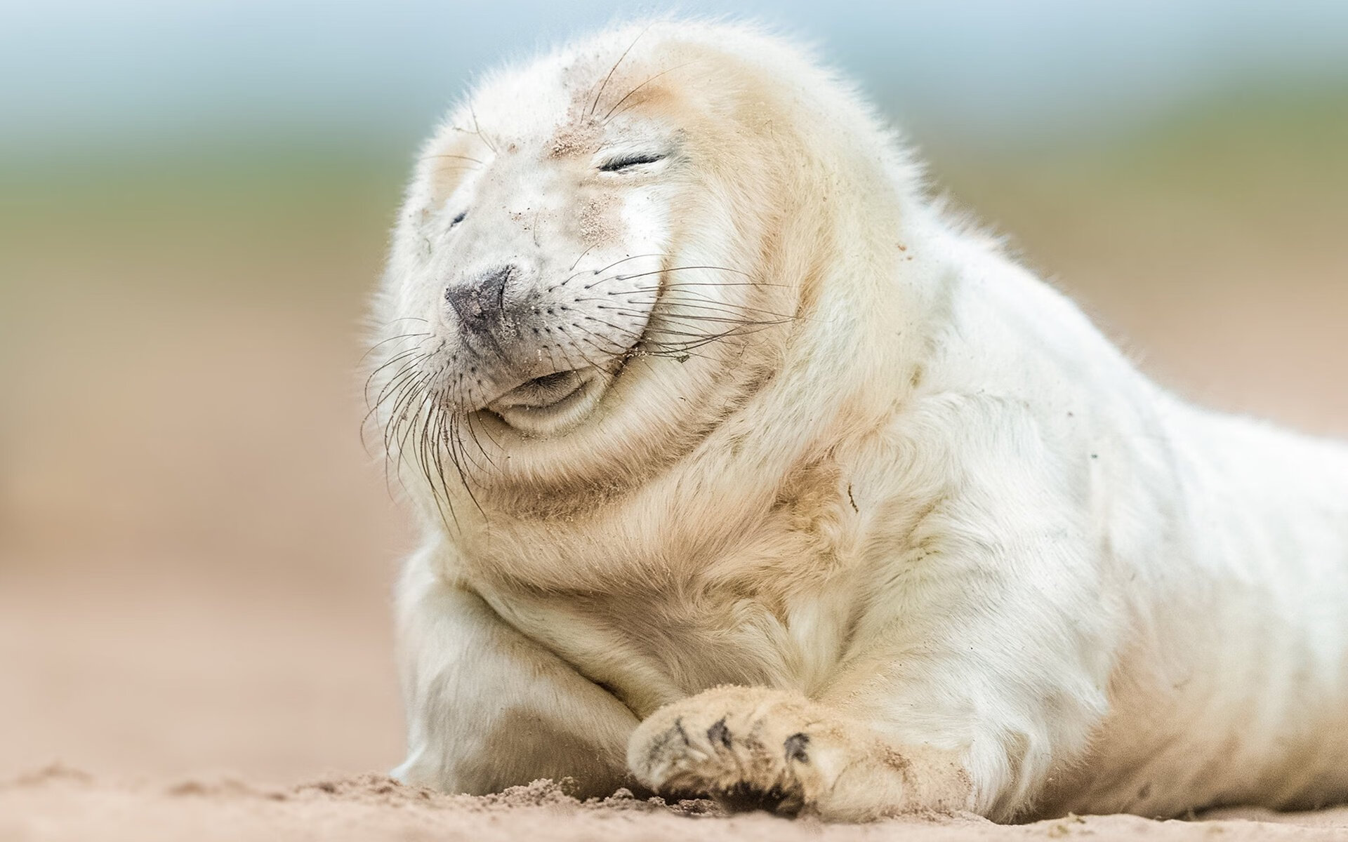 浙江队客场粉碎对手不败金身，福克斯统治级表现改写战局