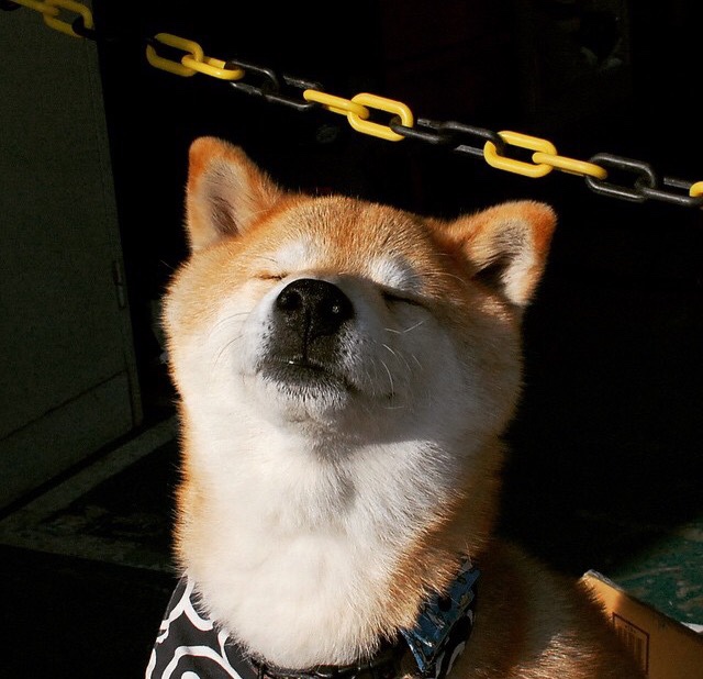 死神来了，当字母哥踩碎地板，整个NBA听见断裂声