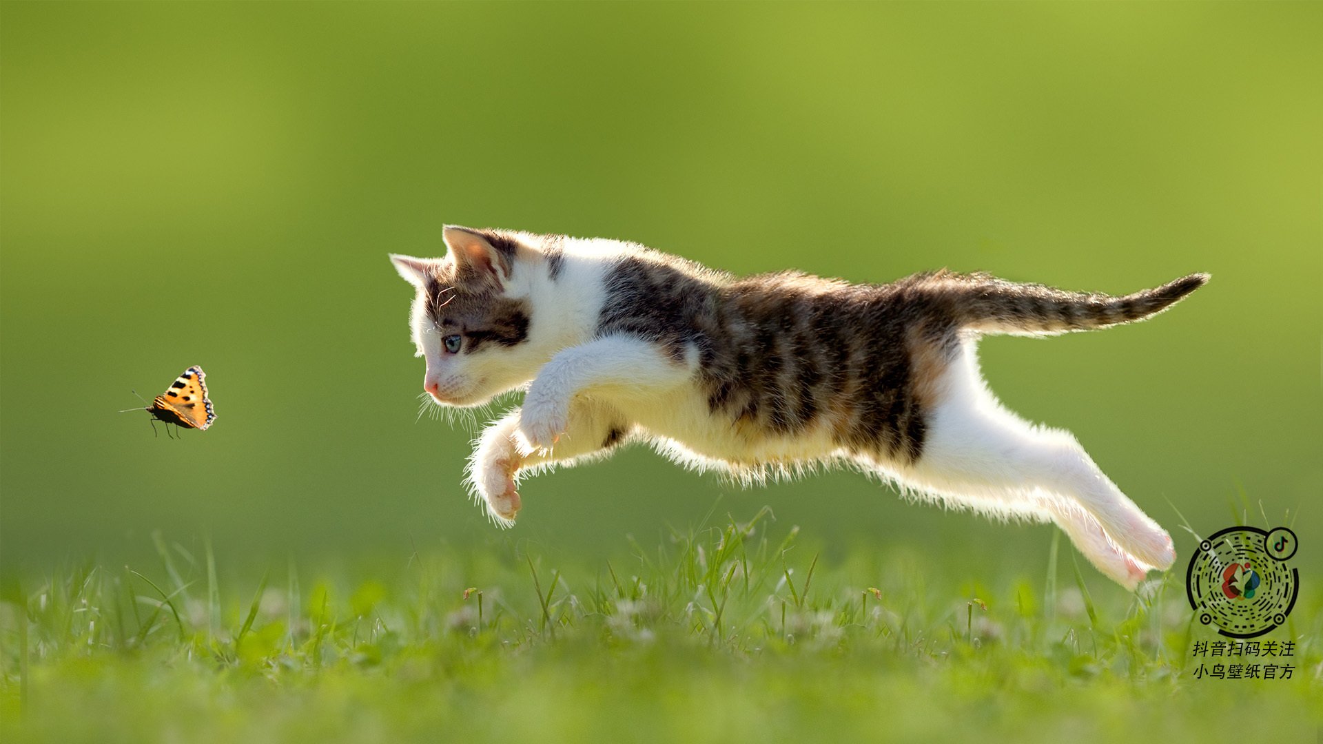 越是大舞台，越能见证猎鹰撕碎遮羞布！詹姆斯诠释何谓天生主角