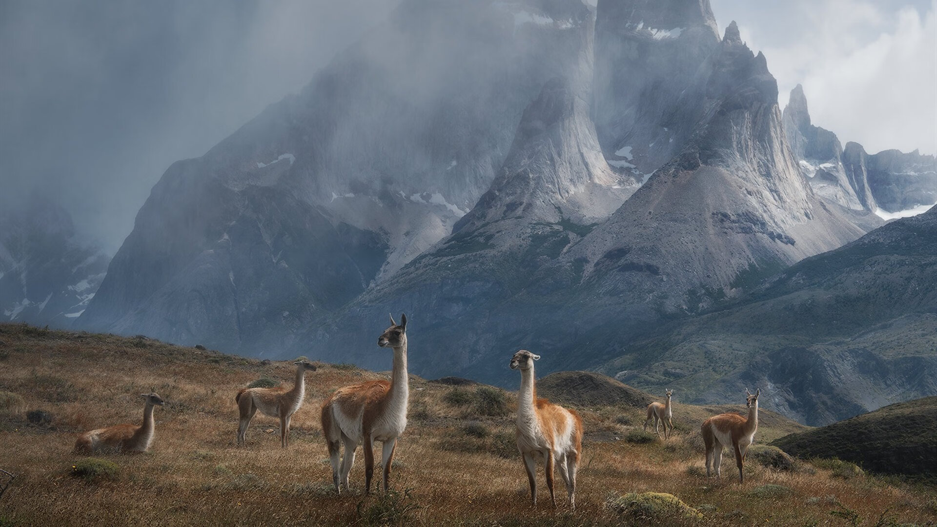 国王血拼猛龙，布克如何成为改变战局的关键先生