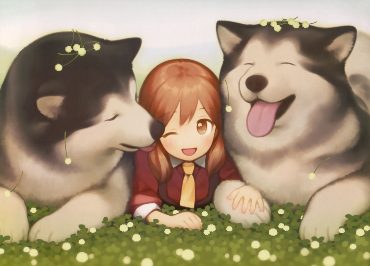 (三个备选)