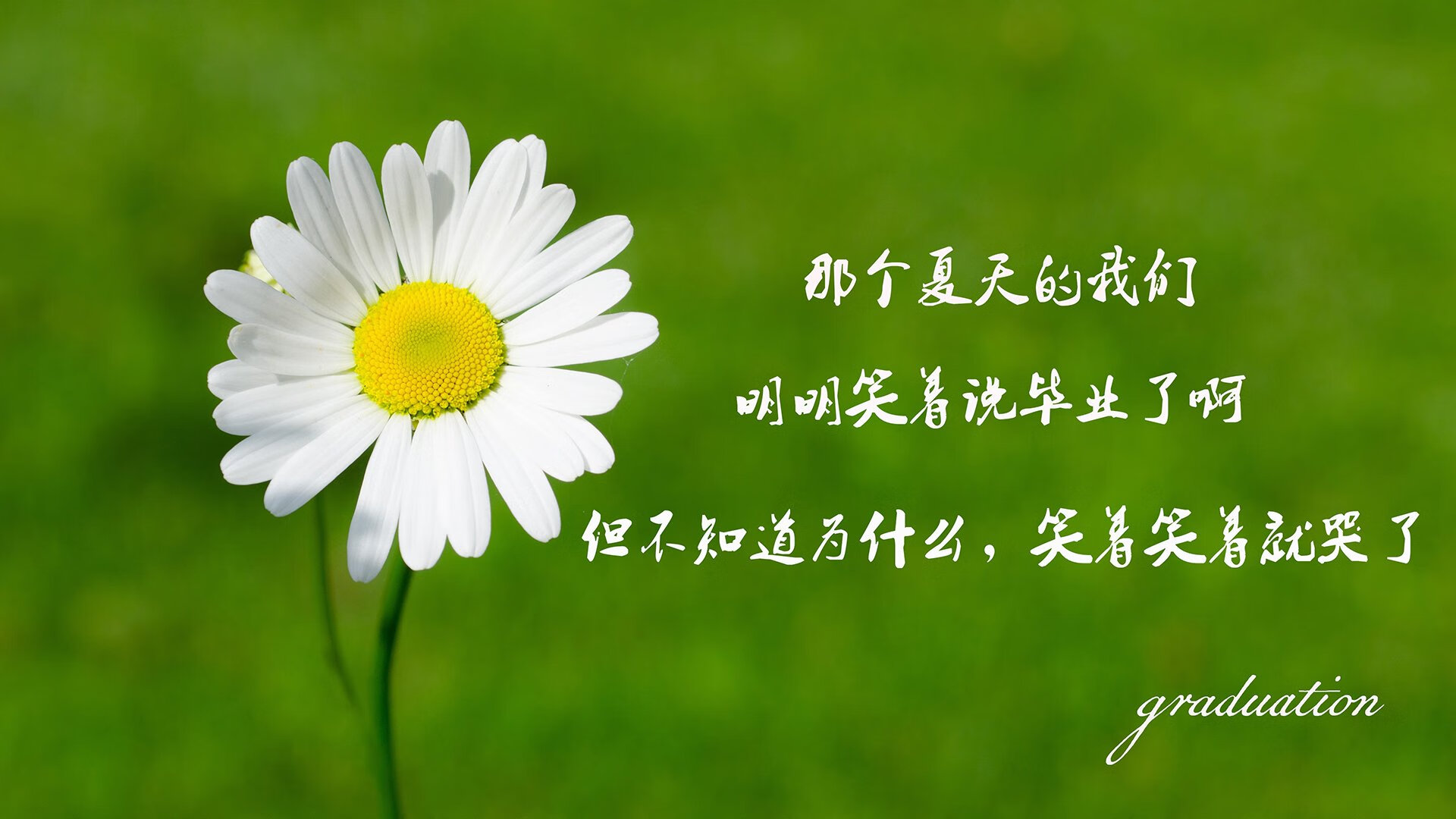 沙漠与海的绝唱，当2026年的多哈见证逆转之国的幻灭与重生