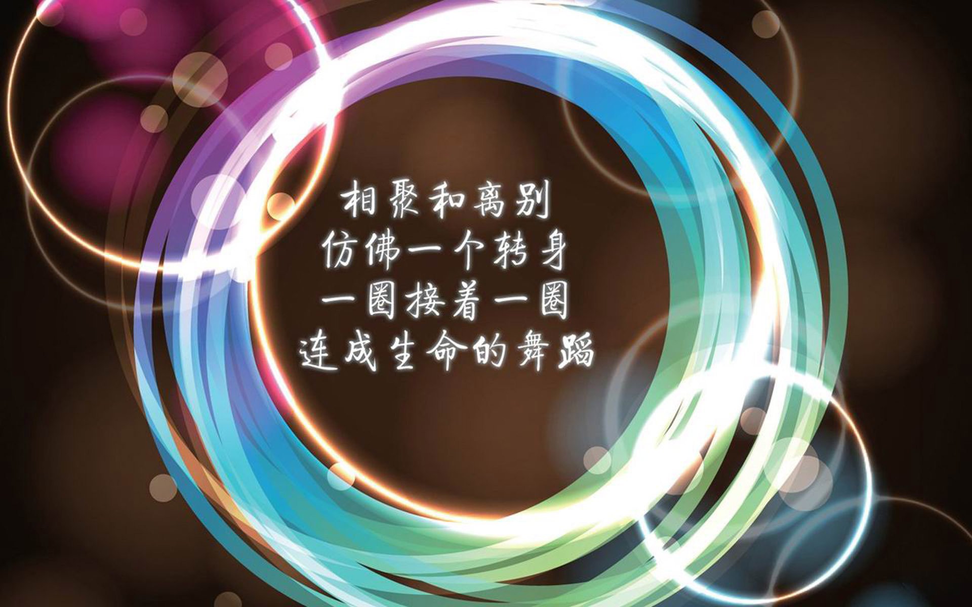 安第斯之矛刺穿迦太基之盾,2026世界杯G组,厄瓜多尔完胜突尼斯,范戴克让唯一成为永恒