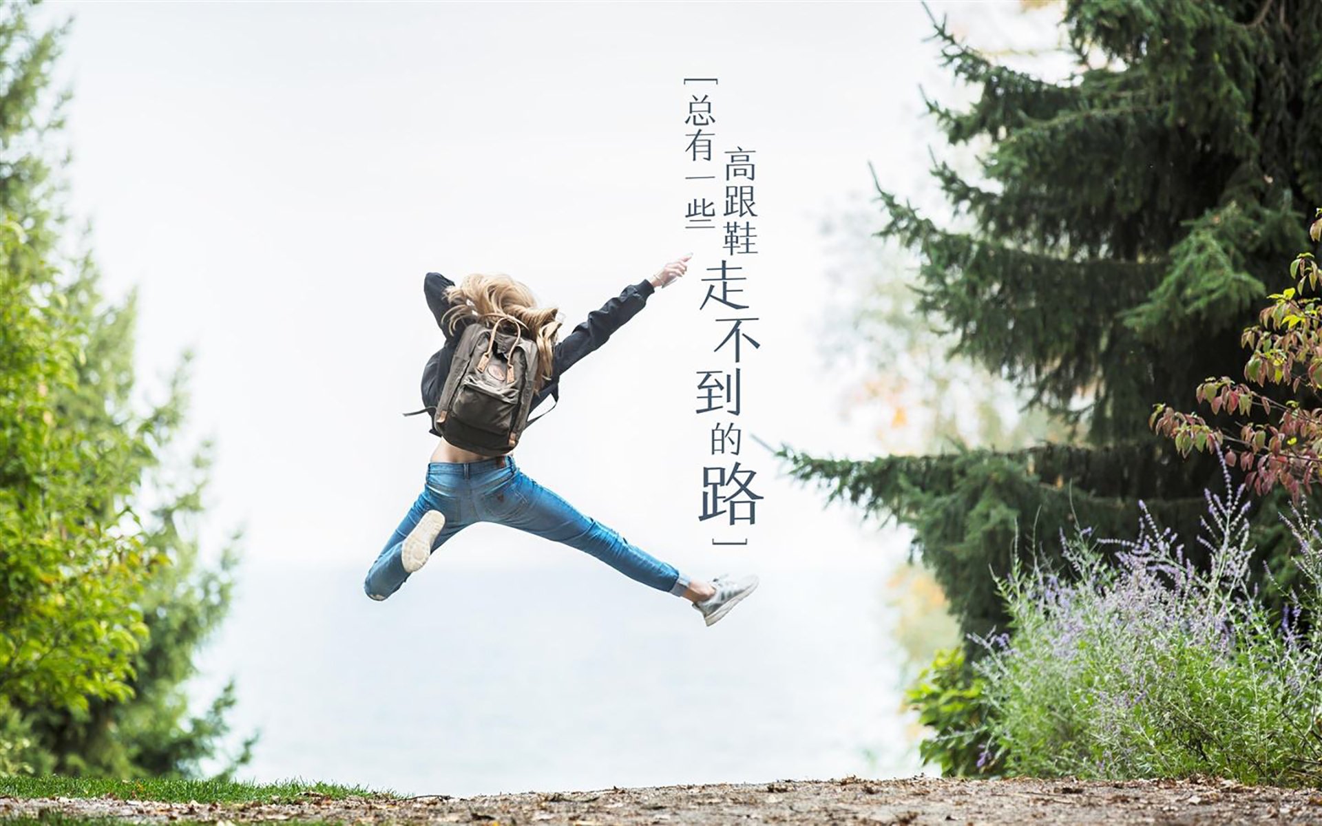风暴中的优雅，2026世界杯E组，罗马尼亚的默契与费利克斯的孤绝一击