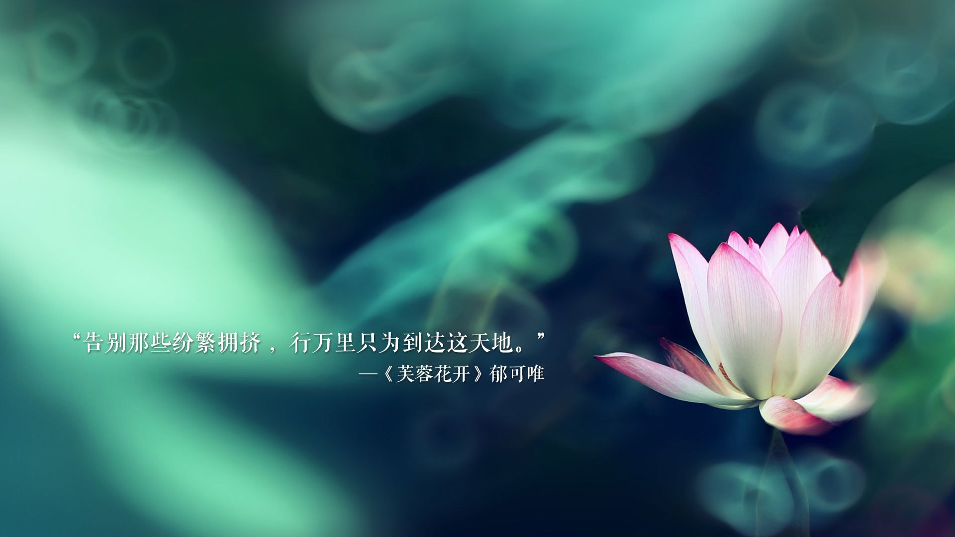 致命一击与不朽的棋局,当奥斯梅恩的绝杀,为高卢雄鸡的狂想曲谱写终章